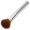 Powder Brush