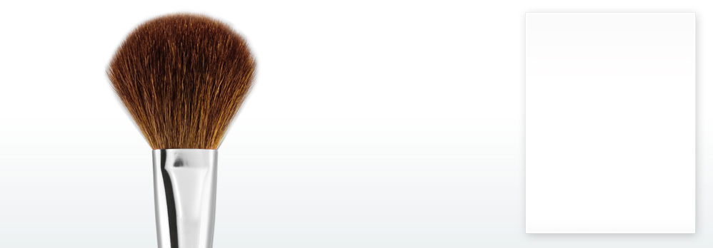 Powder Brush
