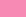 Rose Framboise