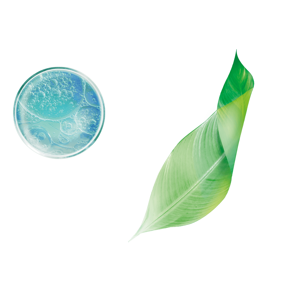 Glättende Anti-Falten-Maske mit Soforteffekt