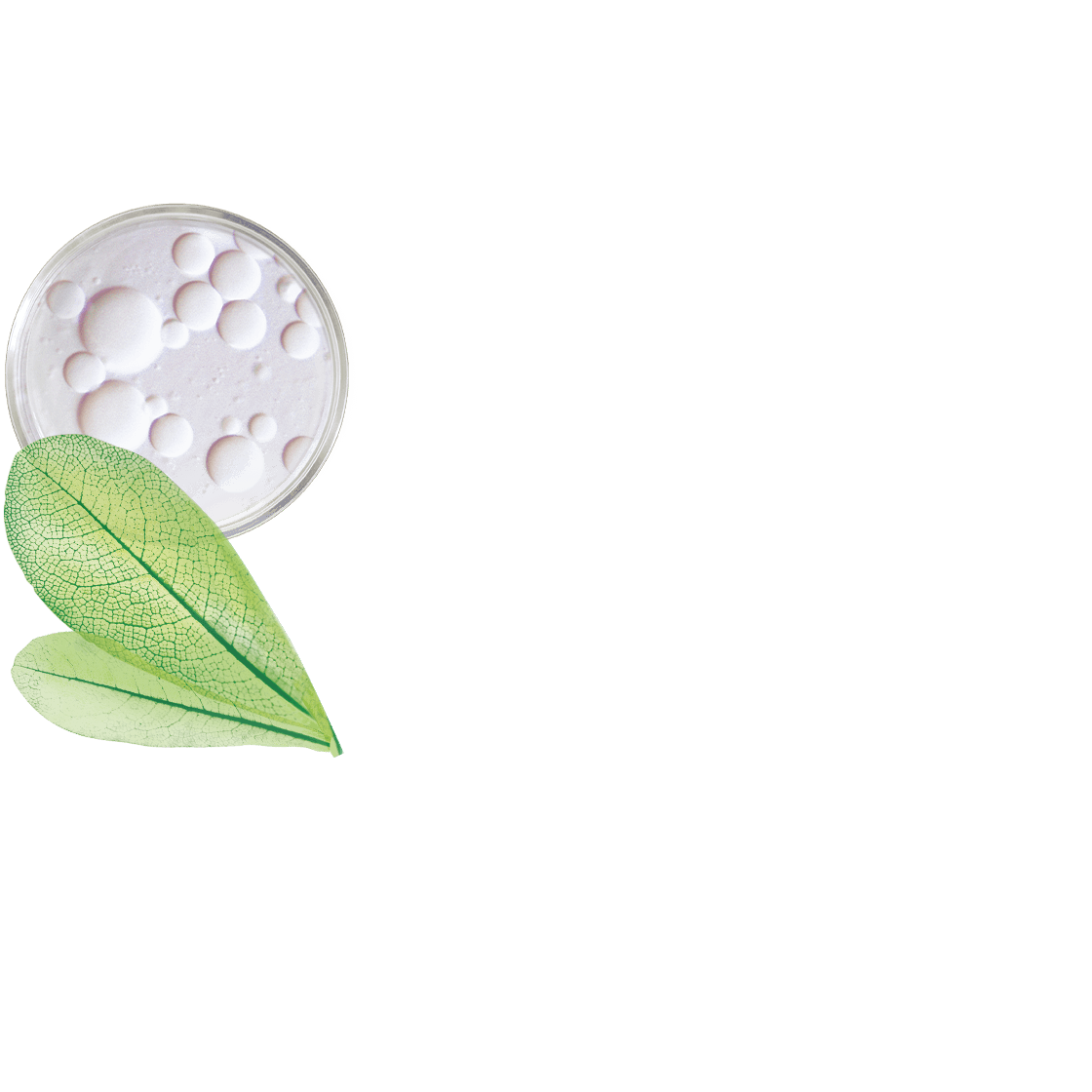 Nährender Körperbalsam