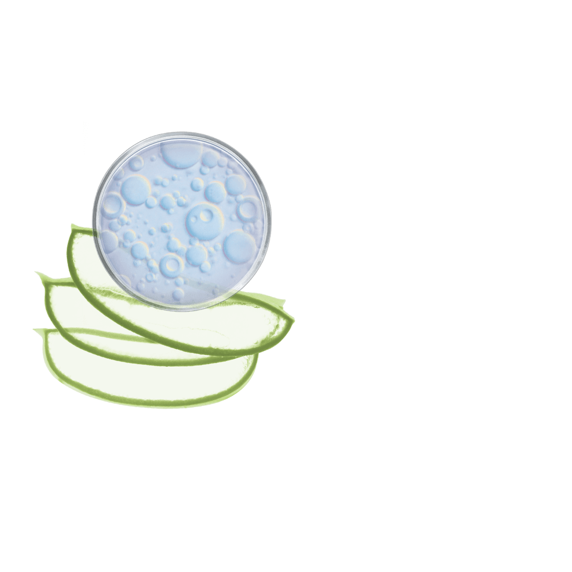 Masque à l\'aloe vera