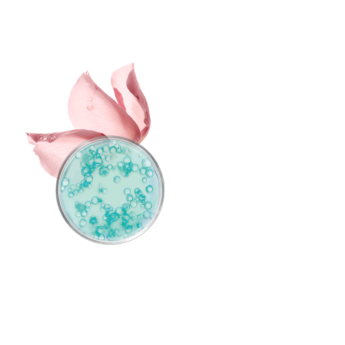 Eau micellaire démaquillante visage, yeux & lèvres